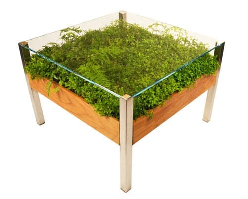 green-living-table-eco-friendly-plants